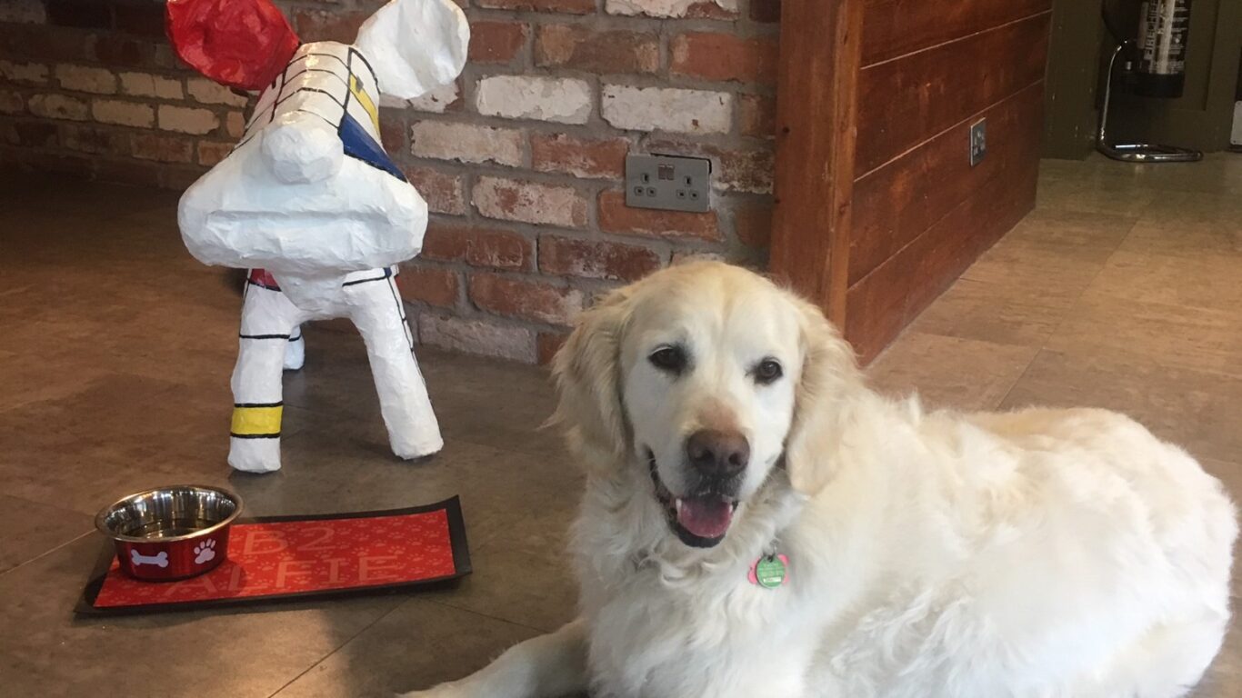 IMG_0521 &ndash; 16 x 9